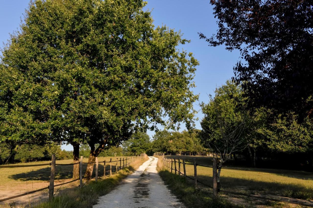 Domaine Verte Vallee Lignan-de-Bordeaux Екстериор снимка